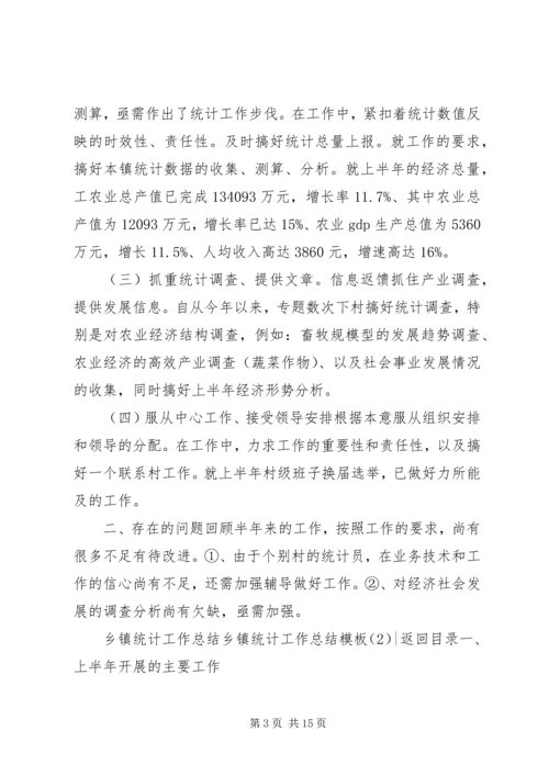 乡镇统计工作总结模板4篇.docx