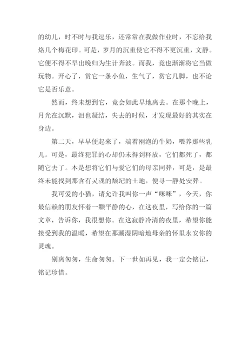 匆匆作文900字0.docx