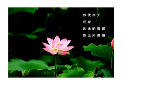 江南一梦浙江旅行杭州文旅通用PPT模板