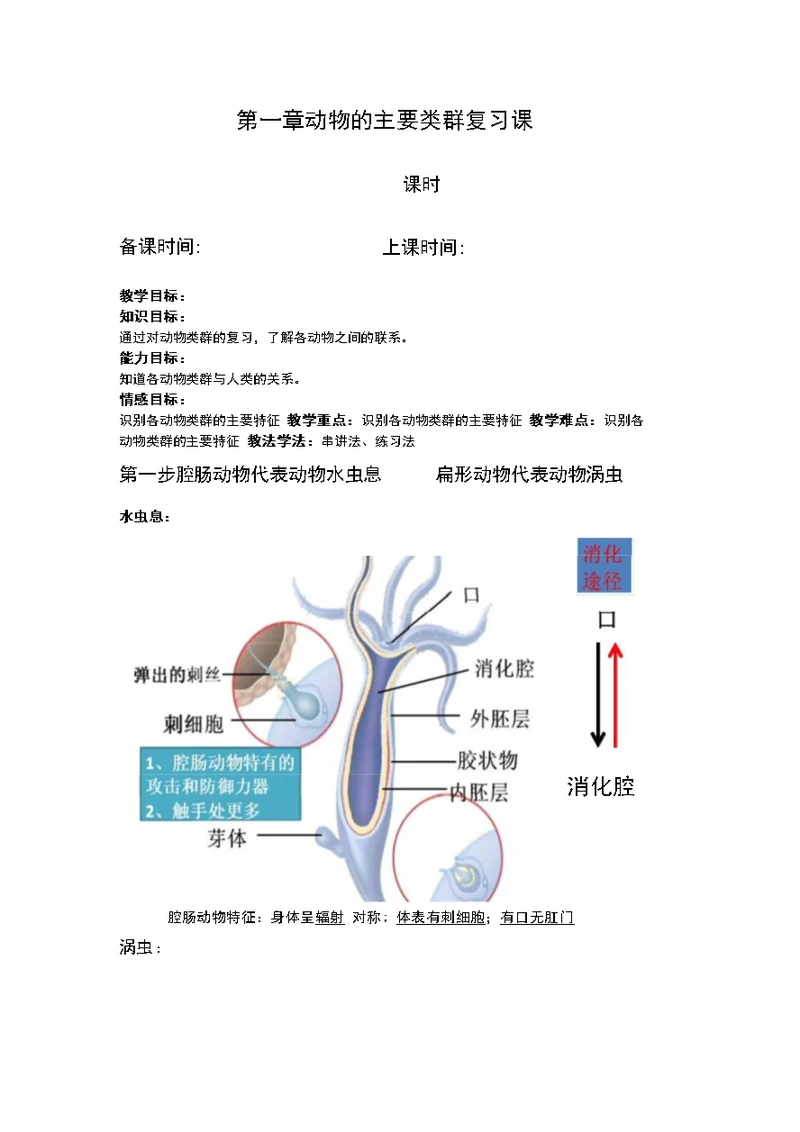 动物的主要类群复习课