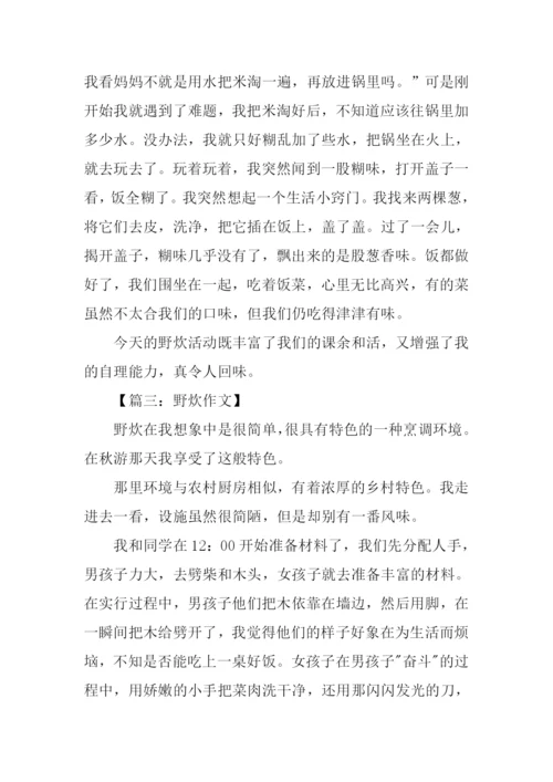关于野炊的作文.docx