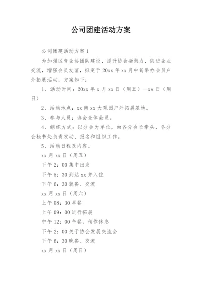 公司团建活动方案.docx