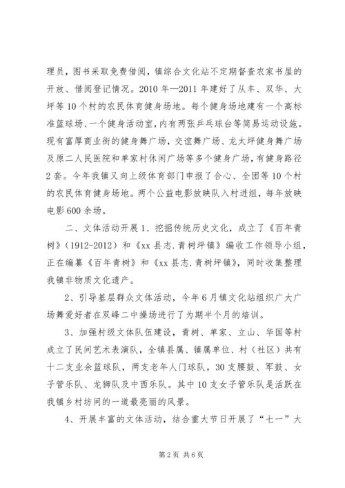 乡镇综合文化站工作调研报告.docx