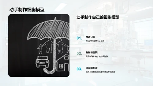 细胞学入门