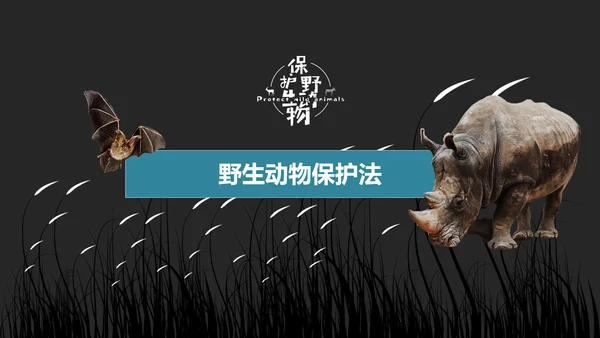 保护野生动物老虎PPT模板