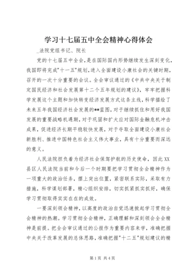 学习十七届五中全会精神心得体会.docx