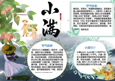 水墨插画小满二十四节气小报