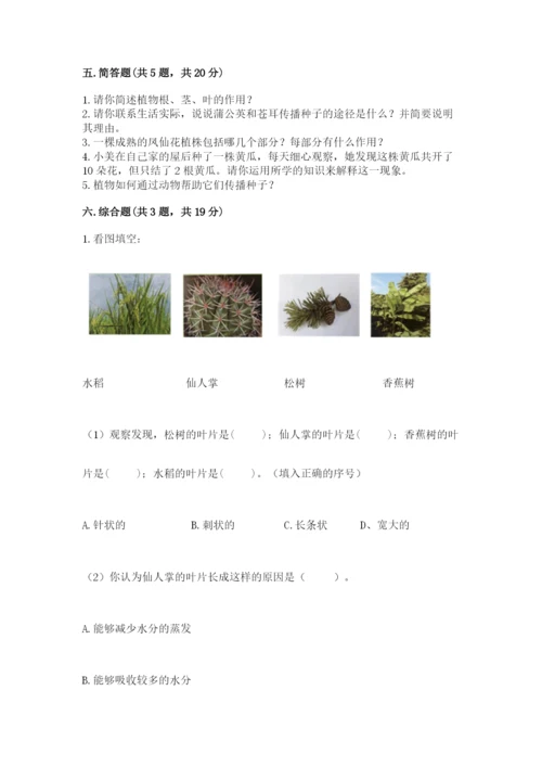 教科版科学四年级下册第一单元《植物的生长变化》测试卷完美版.docx