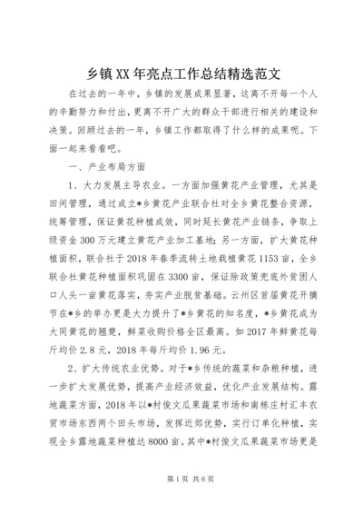 乡镇某年亮点工作总结精选范文.docx