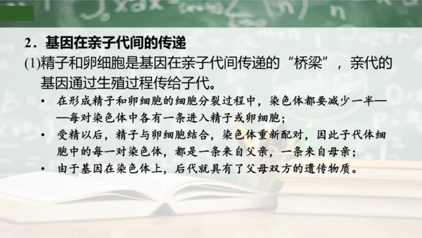 第2章 生物的遗传与变异（复习课件）-八年级生物下册章末知识总结 检测卷（人教版）(共19张PPT)