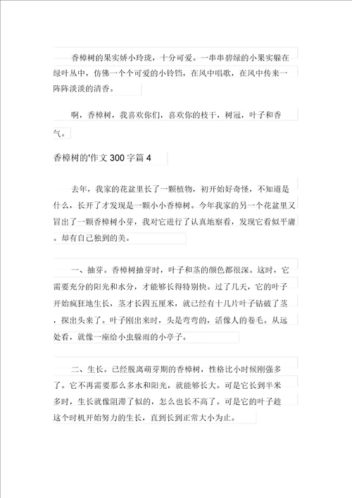 有关香樟树的作文300字汇编10篇