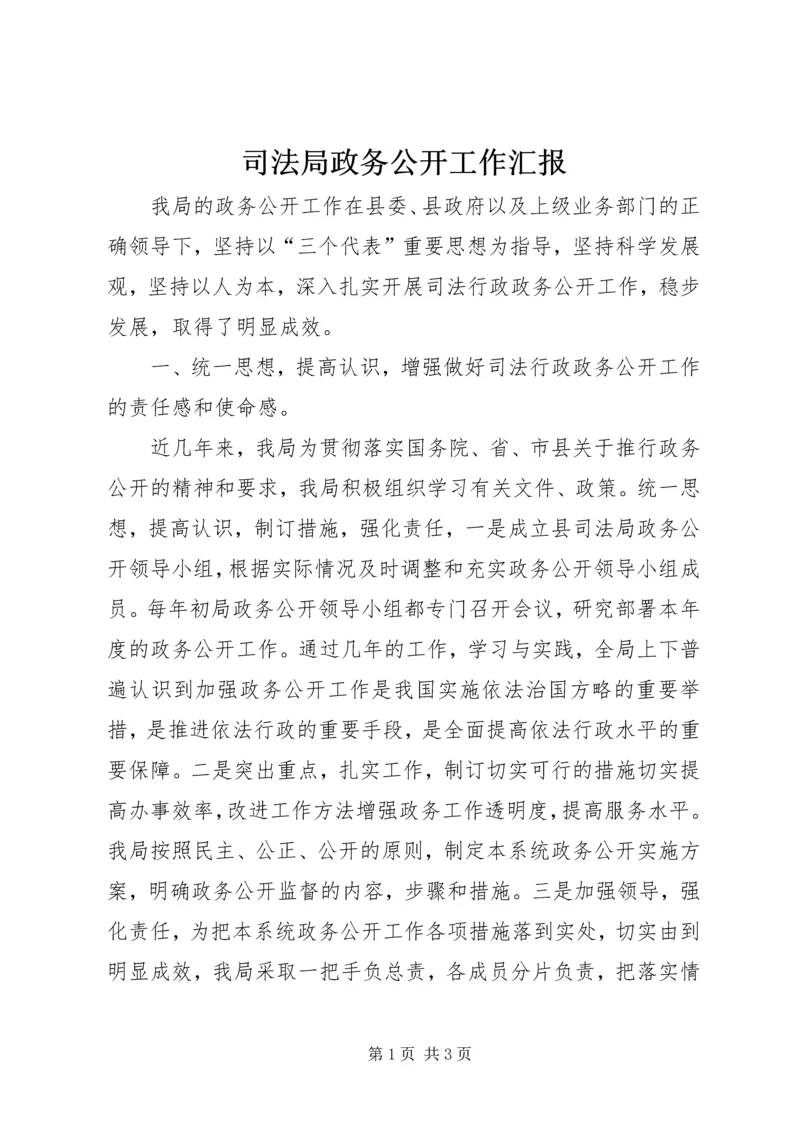 司法局政务公开工作汇报.docx