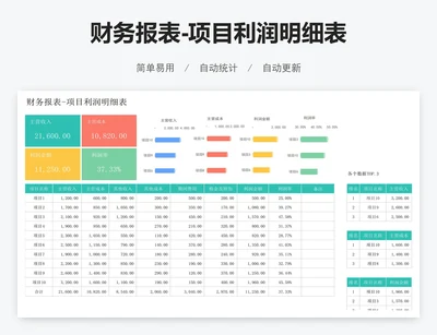 财务报表-项目利润明细表