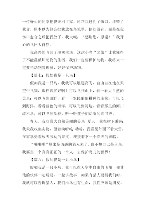 假如我是一只鸟作文300字.docx