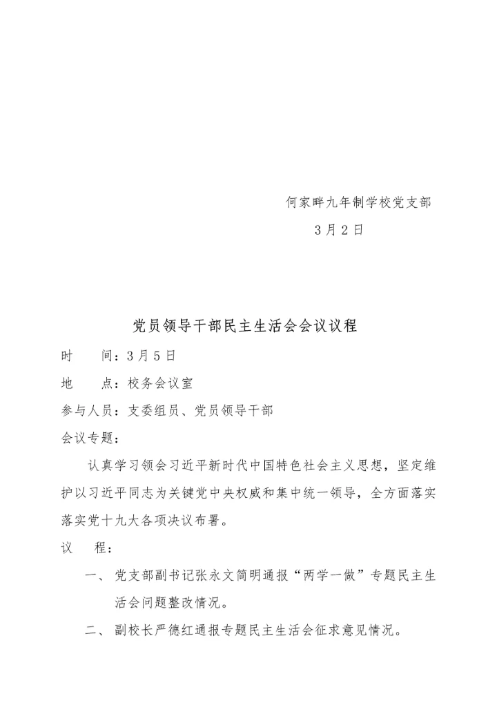 何家畔九学校党支部民主生活会实施专业方案.docx