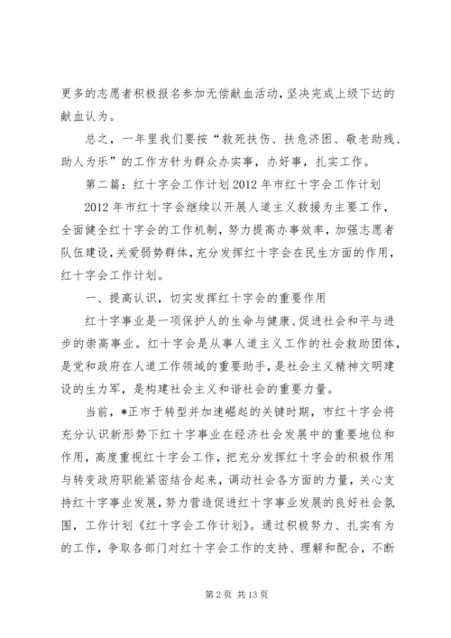 红十字会工作计划 (2).docx