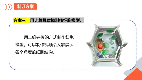 综合实践项目单元小结-【备课优选】七年级生物上学期同步精品课件（2024人教版）(共19张PPT)