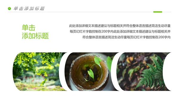 唯美绿色植物生长发芽敬畏生命PPT模板