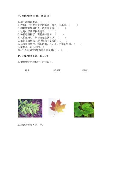 教科版一年级上册科学期末测试卷标准卷.docx