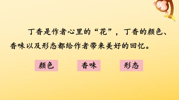 2 丁香结  课件