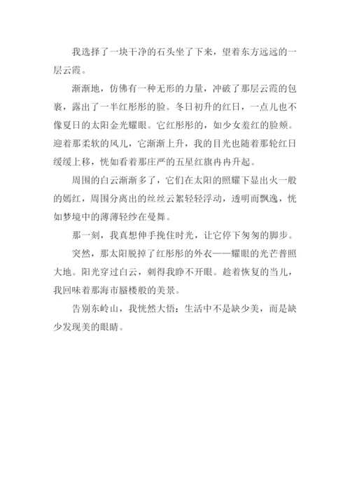 发现最美作文800字.docx