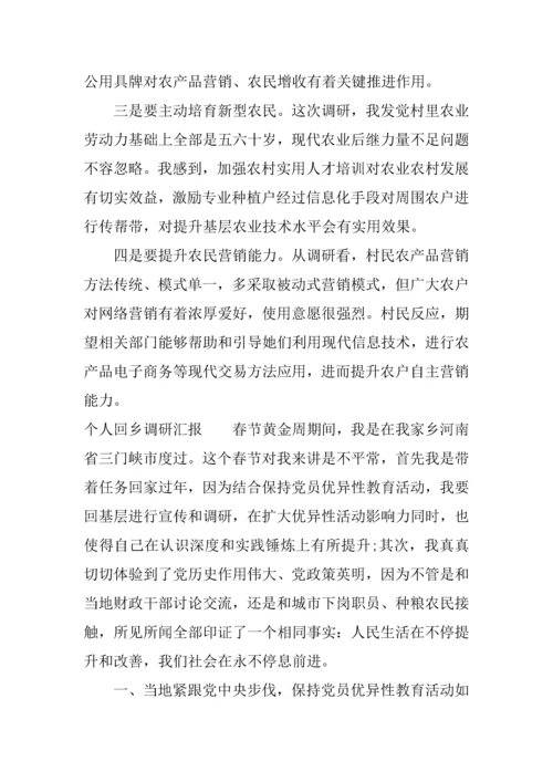 个人回乡调研研究报告.docx