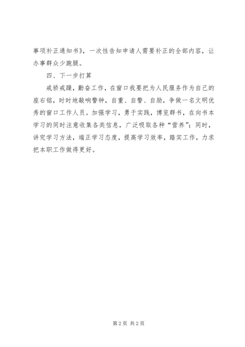 政务中心规划窗口个人工作总结.docx