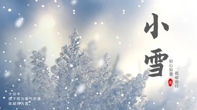 蓝色小清新小雪节气PPT模板