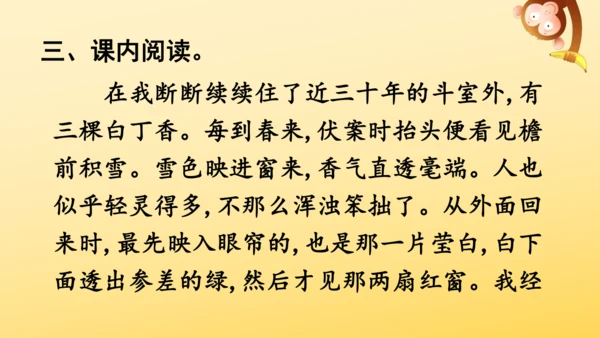 2 丁香结  课件