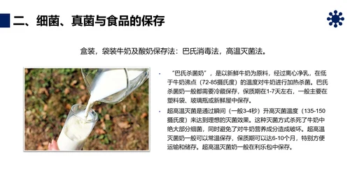 人类对细菌和真菌的利用PPT课件