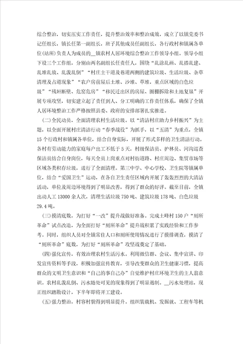 乡镇环境卫生整治工作总结7篇