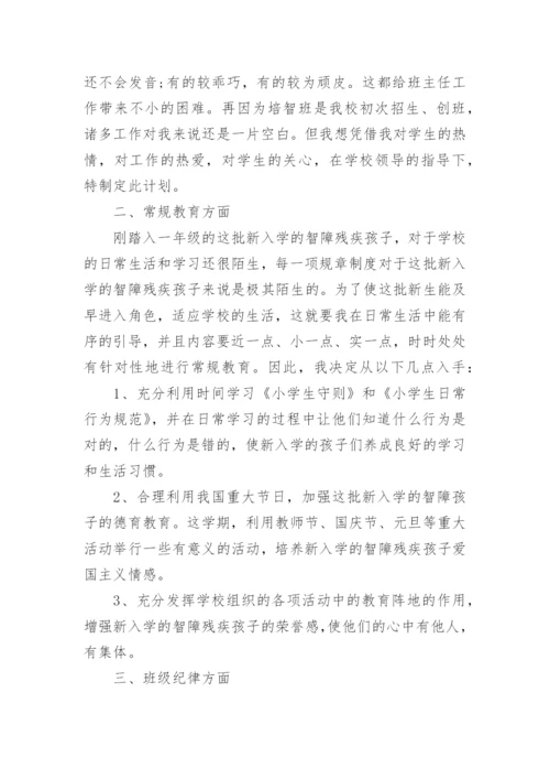 特教班主任工作计划.docx