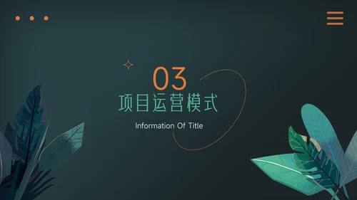 绿色暗调乡村旅游项目介绍PPT模板