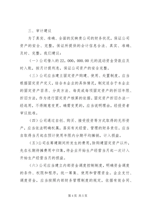 商标专项审计报告 (3).docx