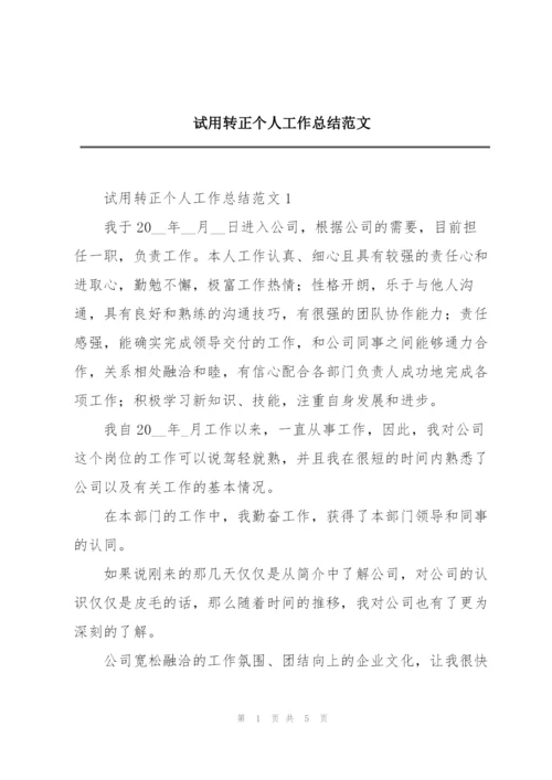 试用转正个人工作总结范文.docx