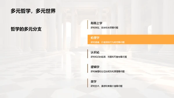 哲学探索：研究之路