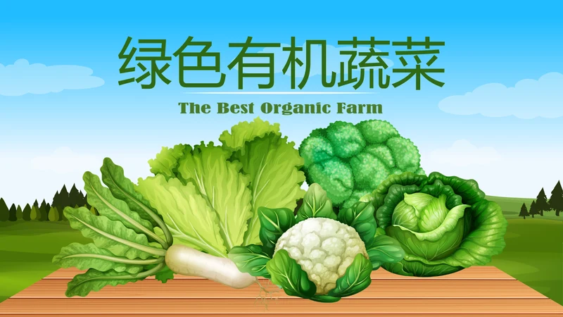 绿色有机蔬菜动态PPT