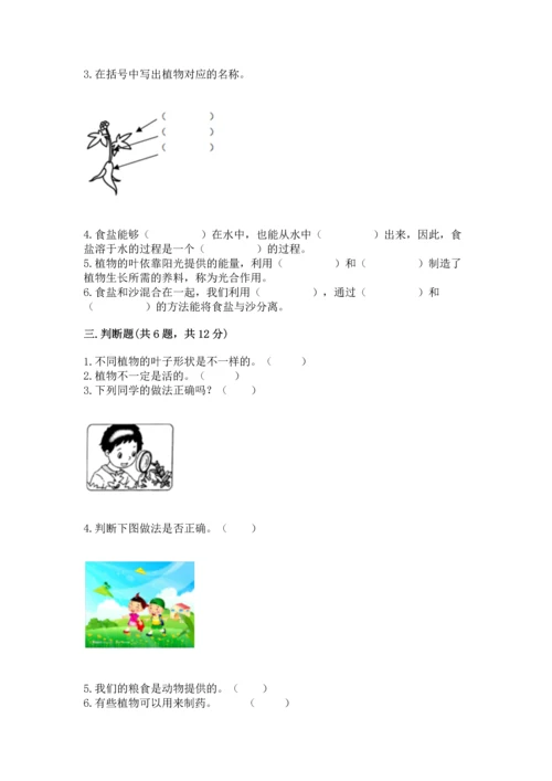 教科版科学一年级上册第一单元《植物》测试卷及完整答案【有一套】.docx