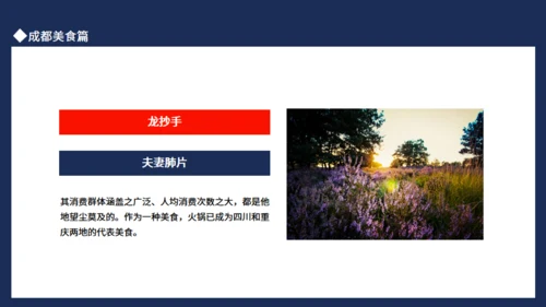 成都旅游玩锦里耍巷子游青城通用PPT模板