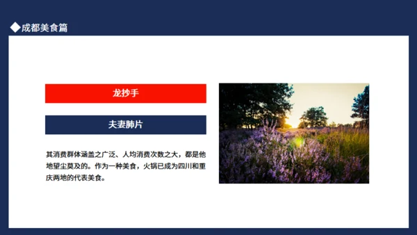 成都旅游玩锦里耍巷子游青城通用PPT模板