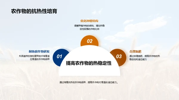 大暑农业应对策略