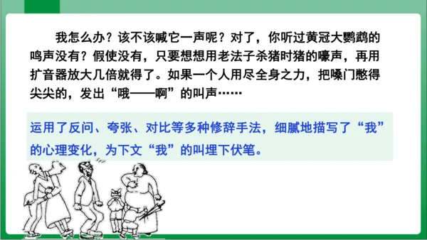 17.动物笑谈（课件）【2023秋人教七上语文高效实用备课】(共33张PPT)