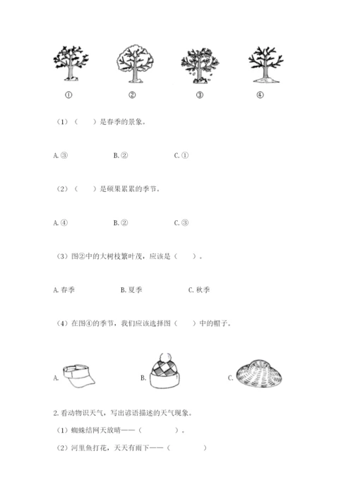 教科版科学二年级上册期末测试卷附答案（实用）.docx