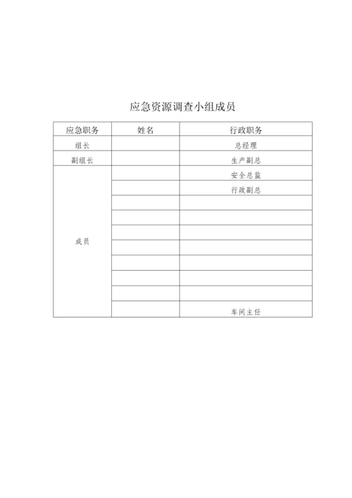 公司生产安全事故应急资源调查报告.docx