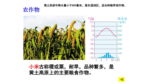 第六单元第一课 北方地区 第2课时（沟壑纵横的黄土高原）课件（23张PPT）