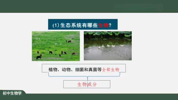 1.2.2 生物与环境组成生态系统 课件（共30张PPT）