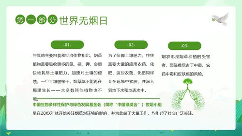 世界无烟日幼儿园禁烟家长会PPT课件