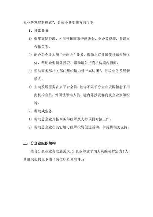 分公司筹建专项方案.docx