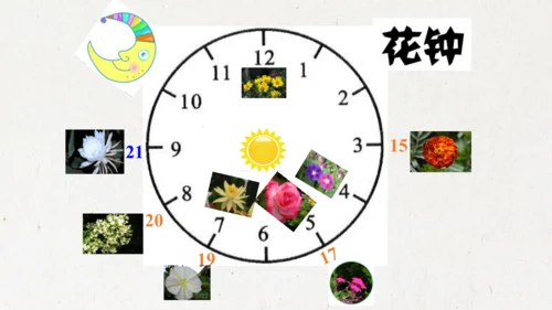 13《花钟》（课件）