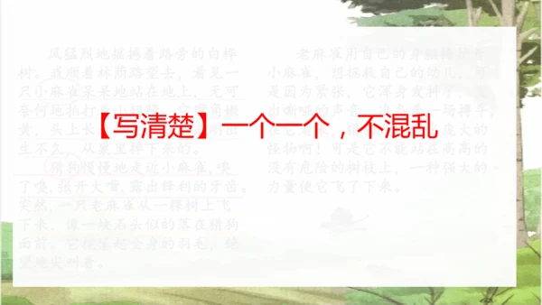 第16课《麻雀》课件